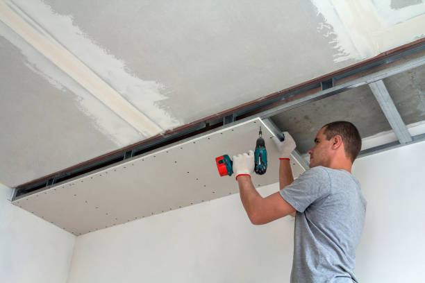 Painting and Decorating services